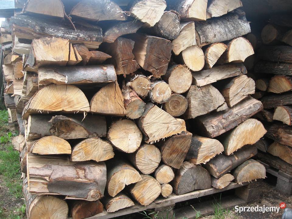Suche drewno kominkowe bukowe Sosnowiec