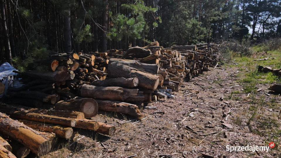 Drewno na sprzedaż mazowieckie