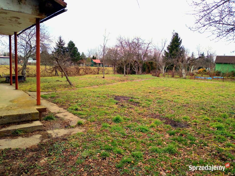 Działka ROD Sahara z domkiem 585m2