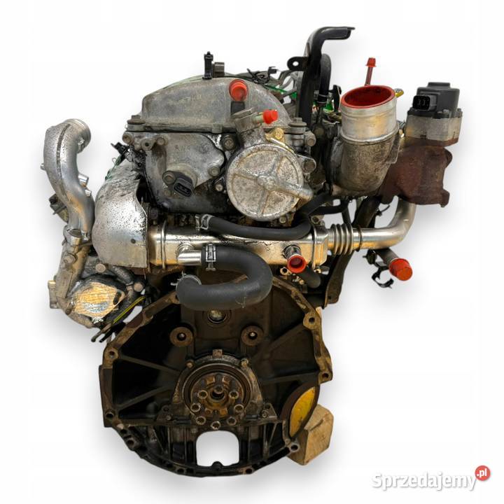 SILNIK YD22 Nissan XTrail Primera P12 22 DCI 136 lubelskie Chełm sprzedam
