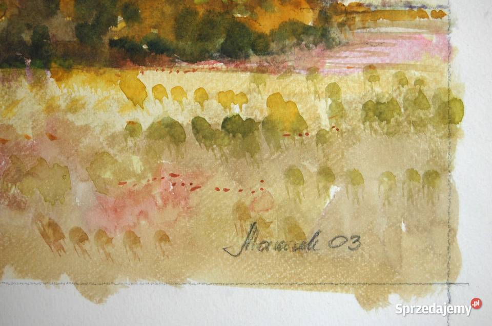 Wiatrak jesienny pejzaż akwarela Mirosława wielokolorowy lubelskie