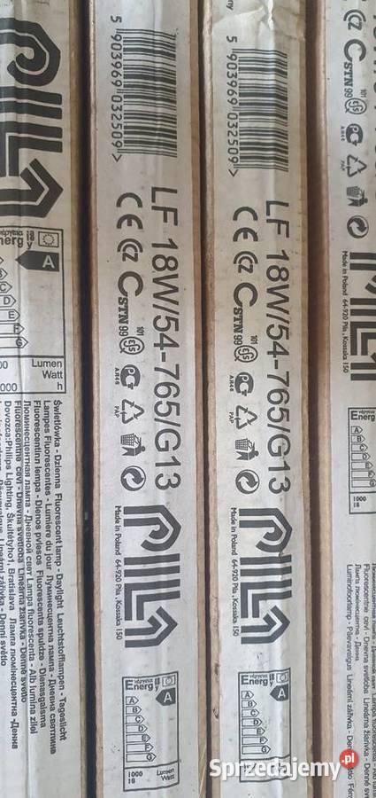 Świetlówki pila 18W i 20W Kielce