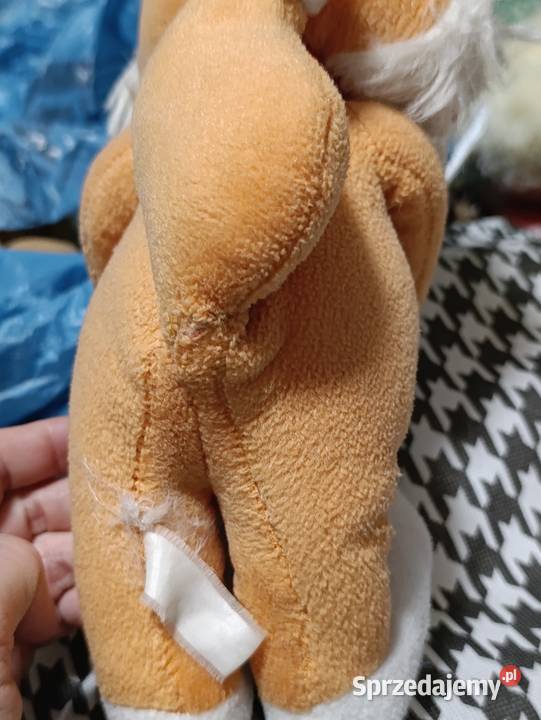 Pluszak przedstawia Ferdi Fuchsa maskotkę wielkopolskie