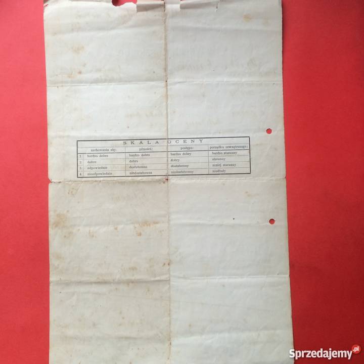 783 Lwów Świadectwo Szkolne Szczecin