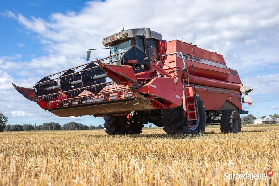 Massey Ferguson 7250 Reducin sprzedam