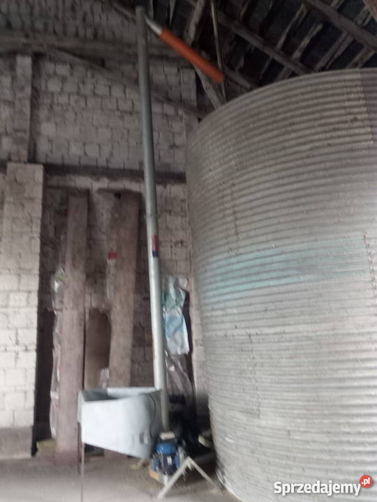 Żmijka pionowa 160 6m Czyżew sprzedam