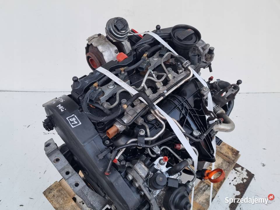 SILNIK KOMPLET VW Tiguan 20 TDI 170 138 CFG CFGB Janów