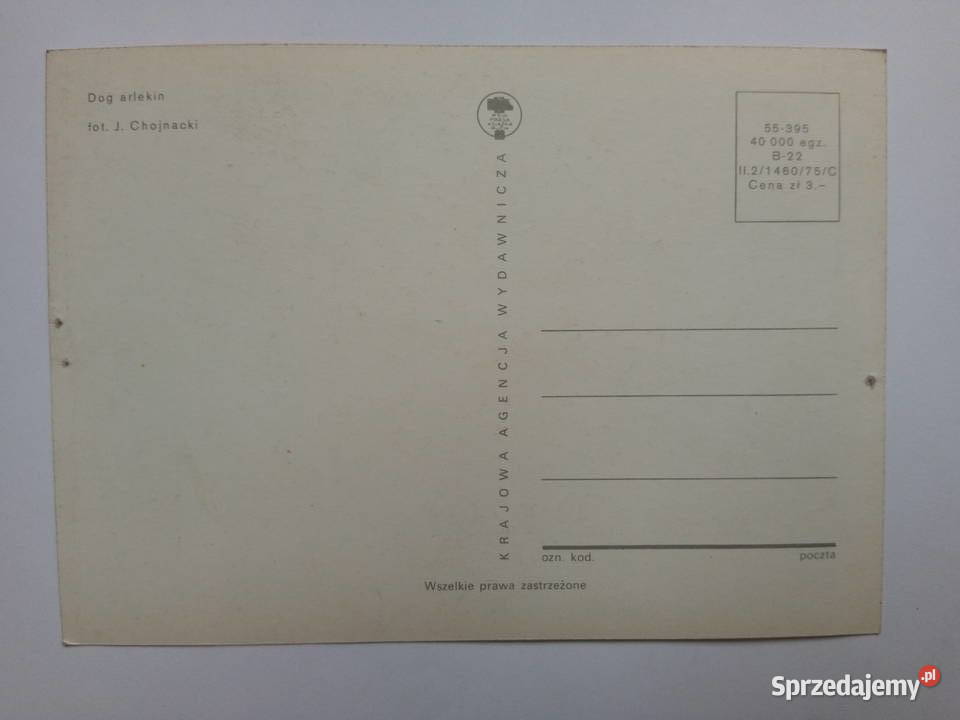 7 Pocztówka z psem 1975r PRLu KOLEKCJA Dąbrowa Górnicza