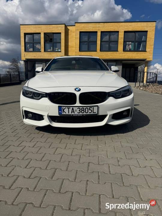 BMW F36 20 diesel 190 koni 2017 Lift 147 ASR (kontrola trakcji) Jasło
