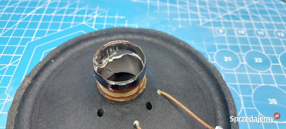 Naprawa Regeneracja Głośników Wymiana Zawieszeń świętokrzyskie