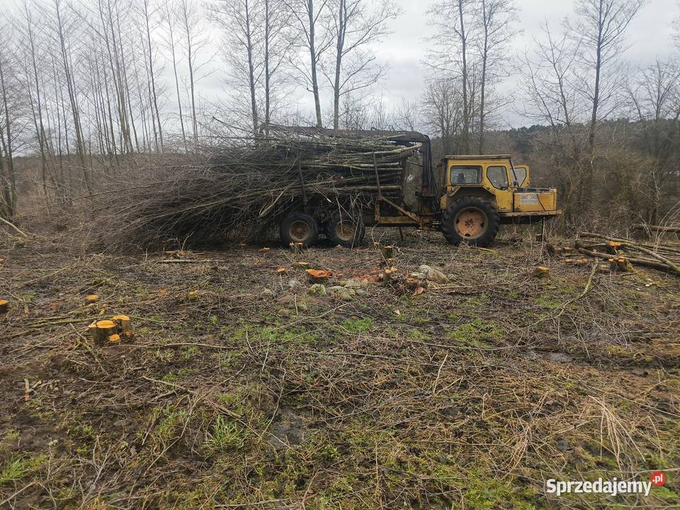 Forwarder Leśnictwo Brudzeń Duży