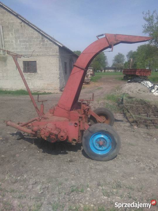 Orkan 2 scinacz zielonek ładny stan kujawsko-pomorskie Radziejów