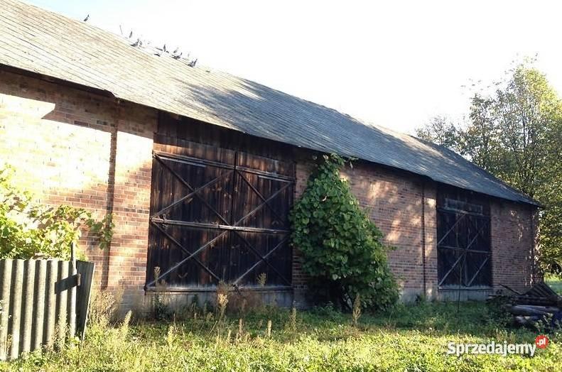 Dom siatka Wierzchowina