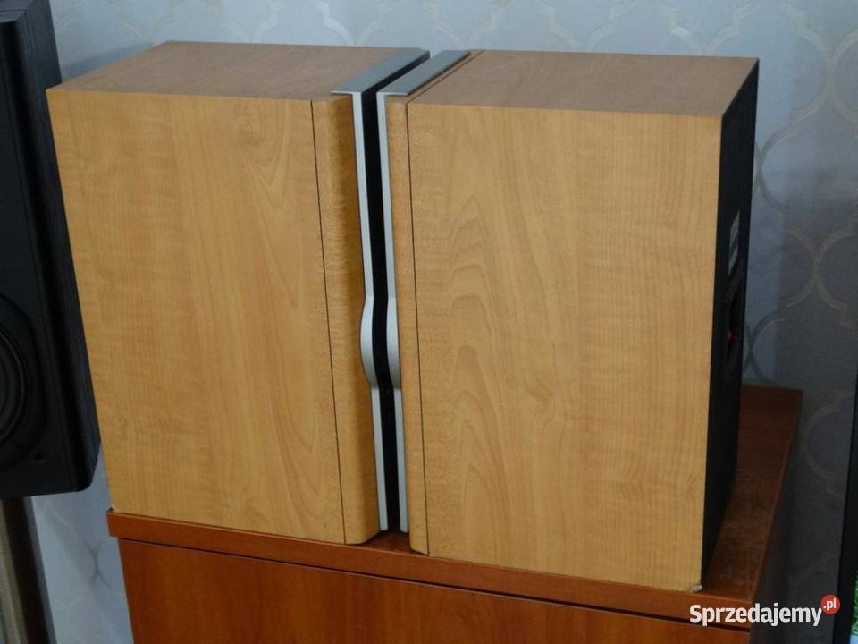 Kolumny Sony SSNX1 mocne i sprawne WYSYŁKA Słuchawki i głośniki podkarpackie Jasło