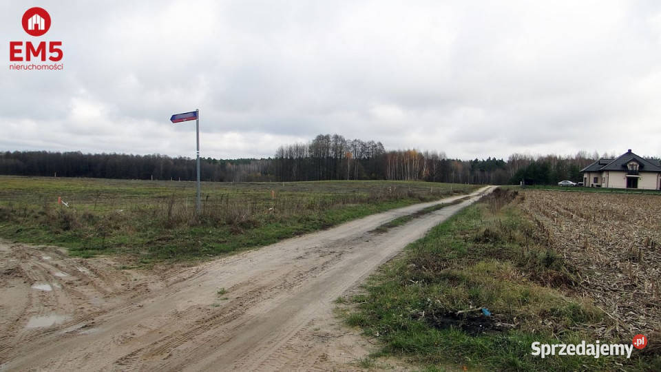 Do sprzedaży grunt 1000m2 Tołcze woda