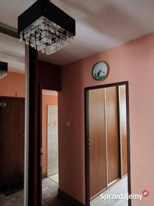 Wynajmę 3pokojowe mieszkanie Łódź