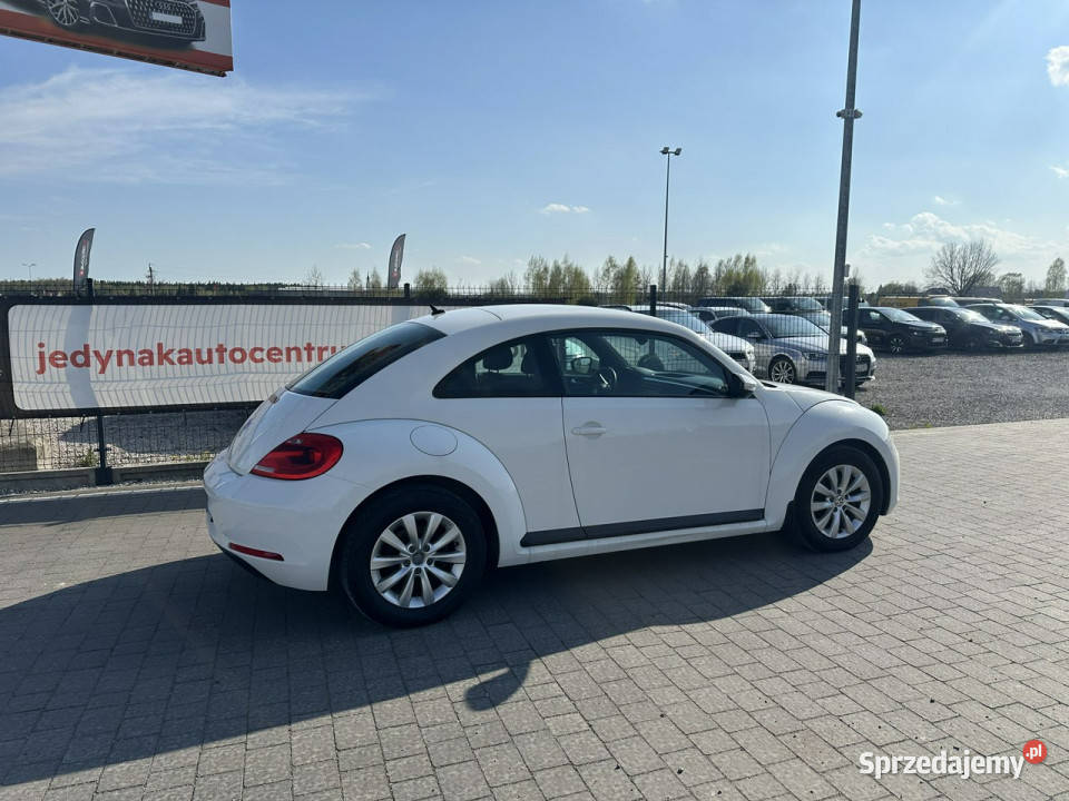 Volkswagen Beetle Lipówki