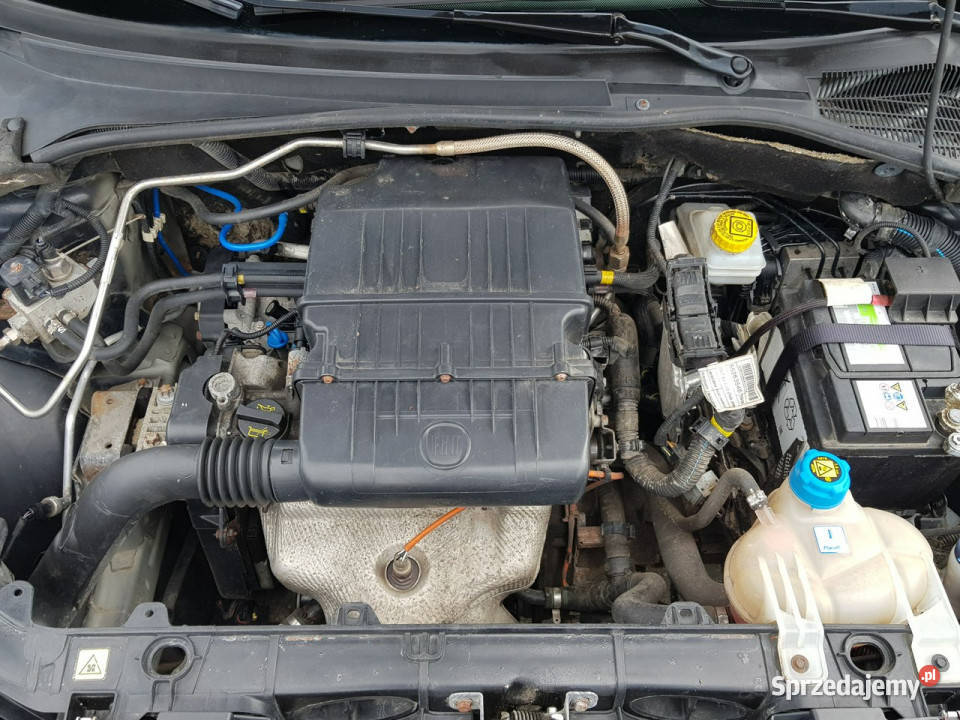 Fiat Punto Evo Lounge 14 Benzyna Gaz CNG