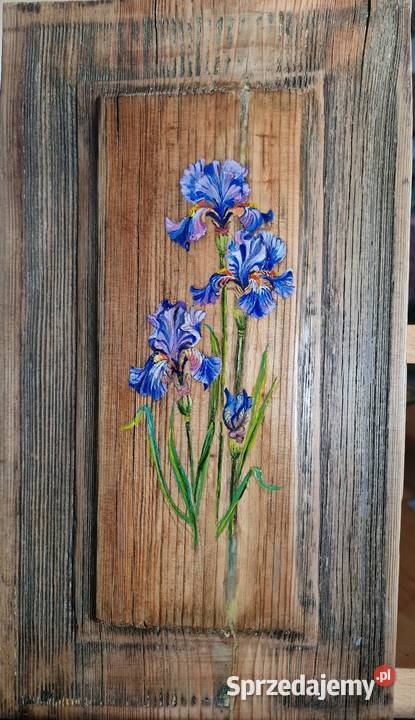 Obraz Irysyna zabytowej okiennice mazowieckie Warszawa
