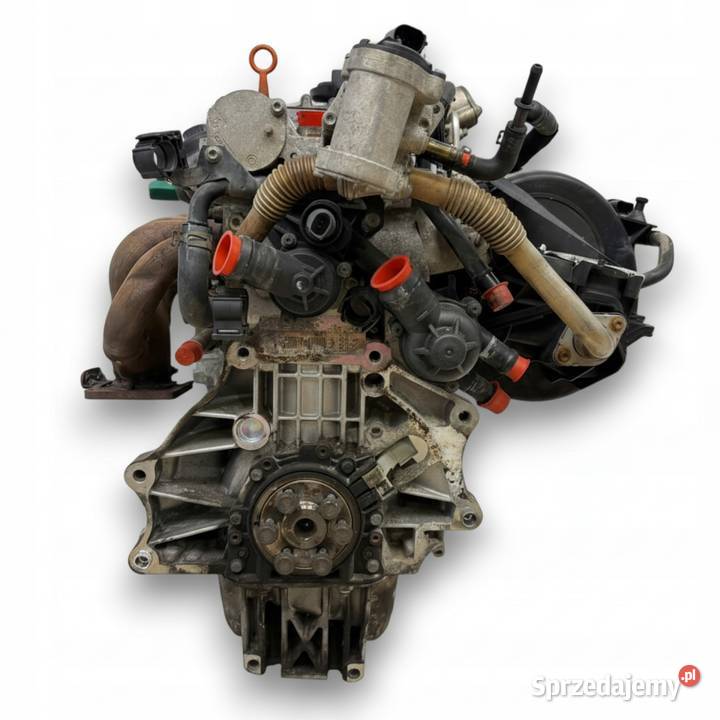 SILNIK BLF Audi A3 II 8P Skoda Octavia II 16 FSI Chełm sprzedam