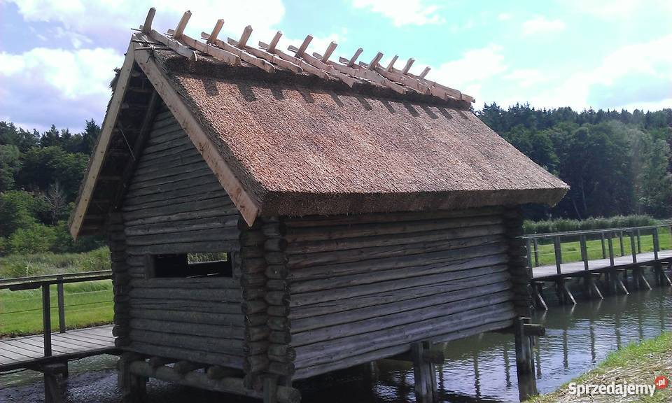 Dachy trzcinowe trzcina remont renowacja starych Stogi