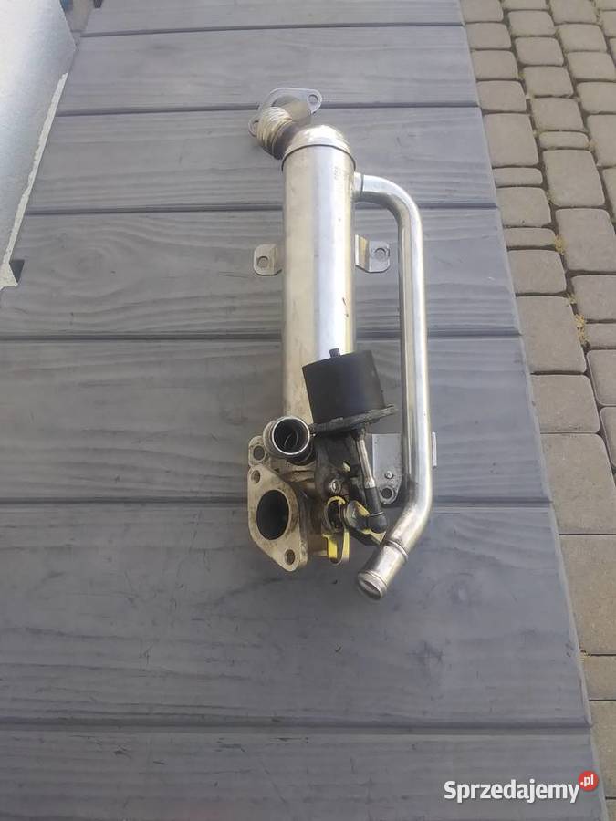 03G 131 512 G Chłodnica spalin Recyrkulacja spalin EGR dolnośląskie Lubin