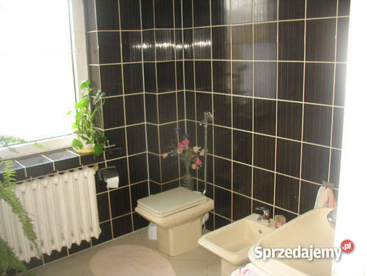 Do Dom rzeką Mława