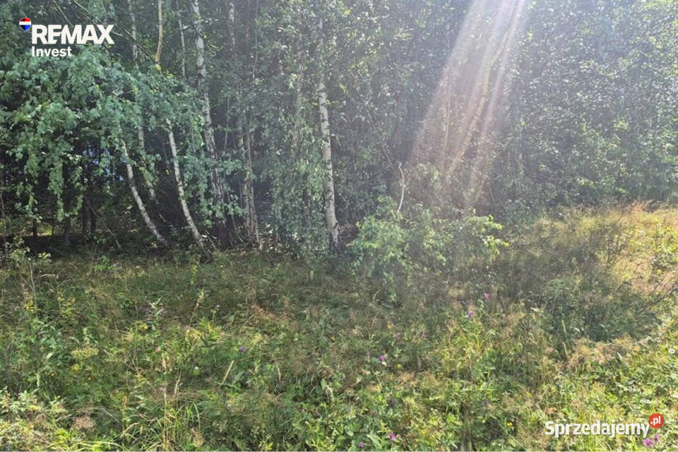 Cisza las i górski klimat Wisła