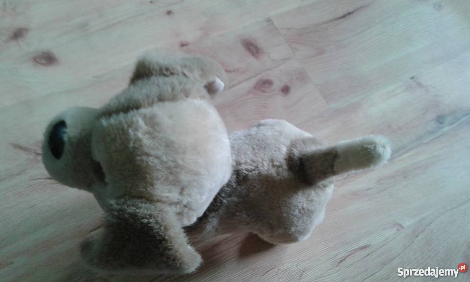 Piesek Bobby Plastik  śląskie Jastrzębie-Zdrój sprzedam