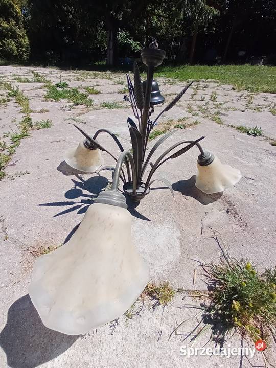 Żyrandol trzy ramienny kłos dolnośląskie Jelenia Góra