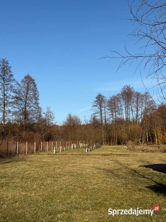 Sprzedam działkę mazowieckie Gaśno
