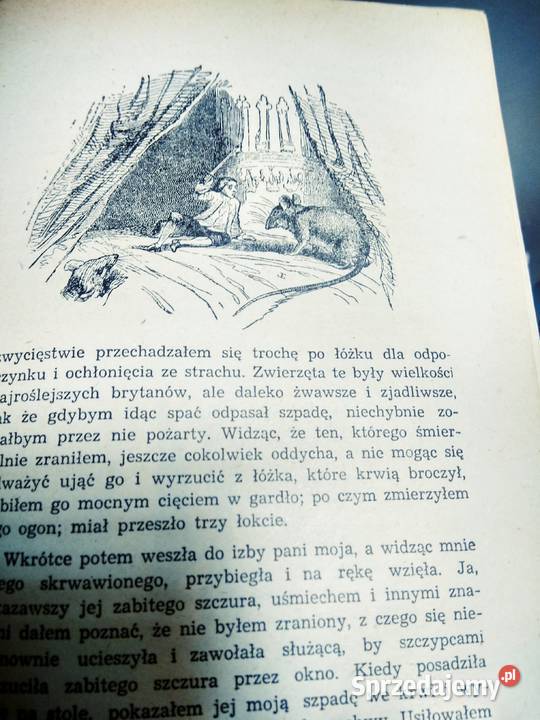 Podróże Guliwera piękne wydanie książki outlet Antykwariat mazowieckie