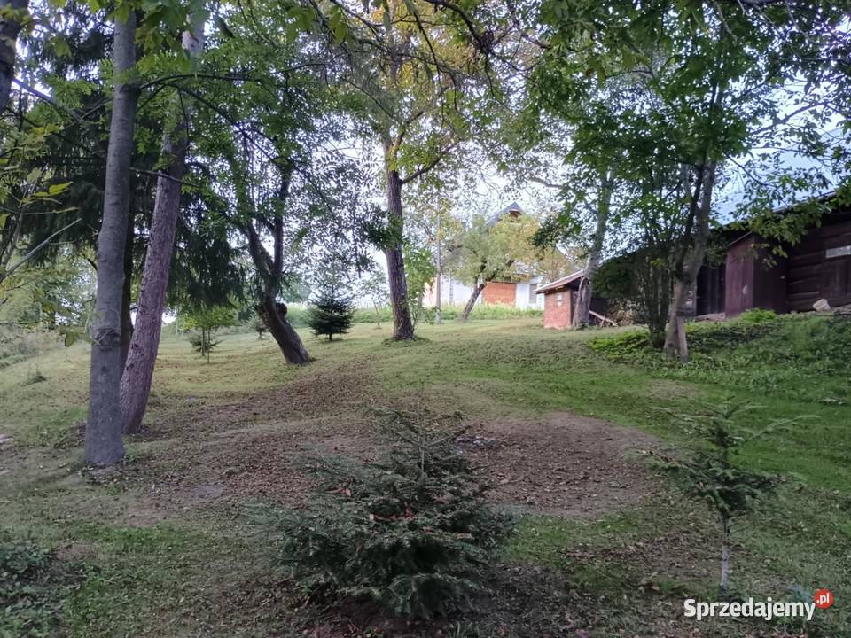 Dom drewniany do zamieszkania działka 24ary Malinówka