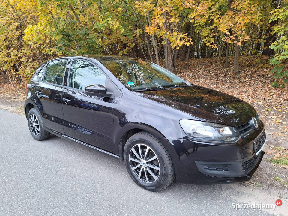 Volkswagen Polo V (2009-2017)