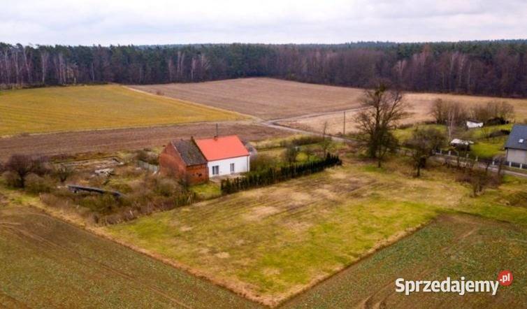 2pok 182met Dom wolnostojący PIWNICAOGRÓD piwnica Radzieszyn