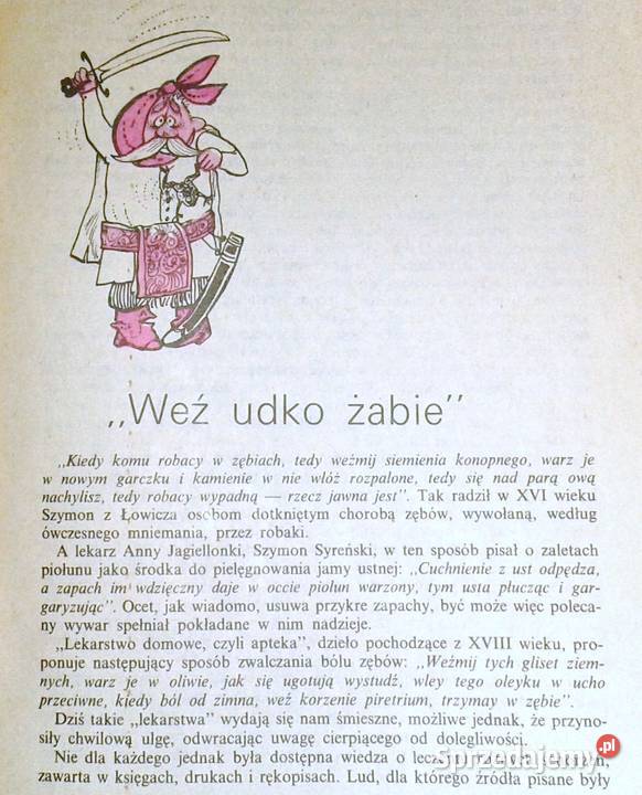 Wszystko o zębach Wanda Rytlowa Chełm