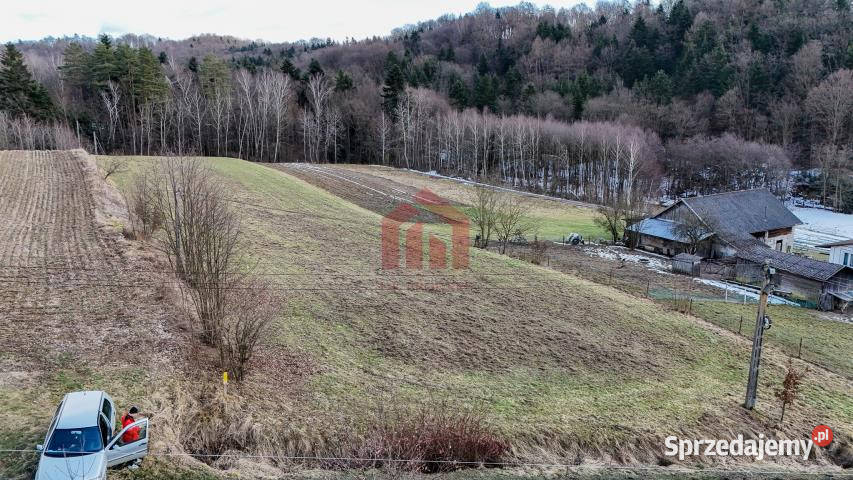 Grunt sprzedam 1300m2 Wielopole Skrzyńskie
