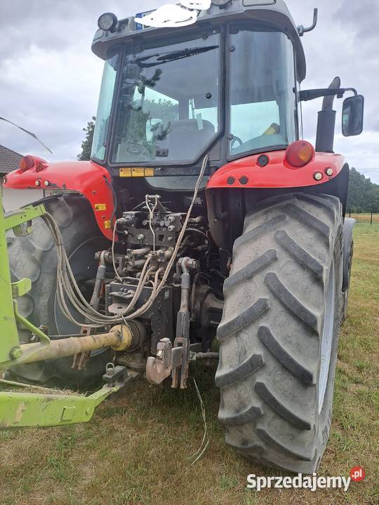 Massey Ferguson 6465 Tuz lubelskie