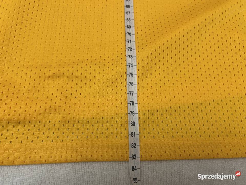 Los Angeles Lakers Rodman 73 Mitchell Ness NBA Kielce