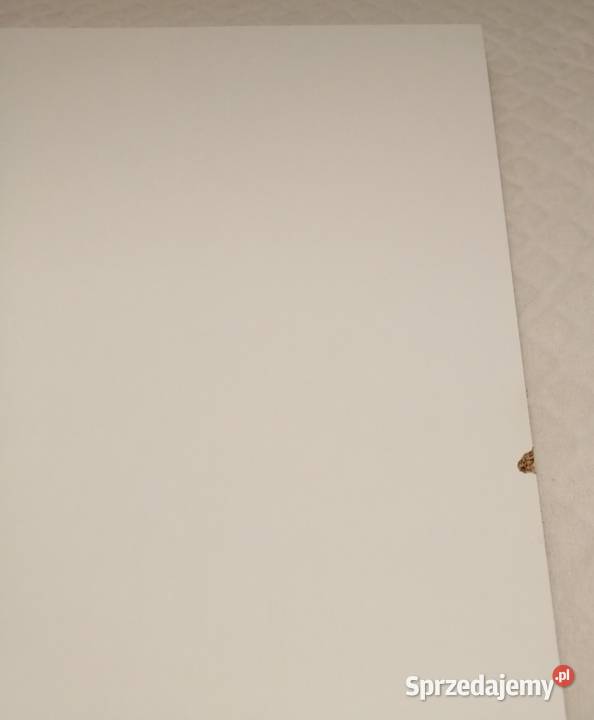 Utrusta półka 40x60 biały 30205613 Ikea 2 Półki Czeladź