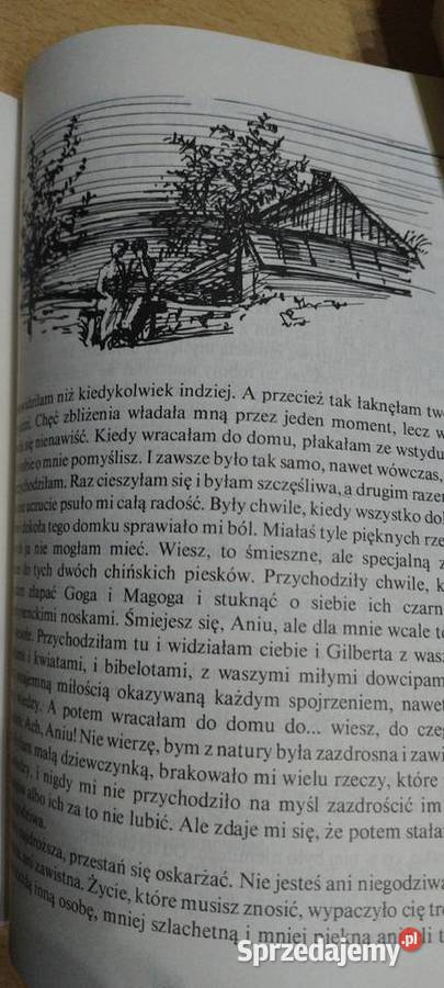 Wymarzony dom Ani lubelskie