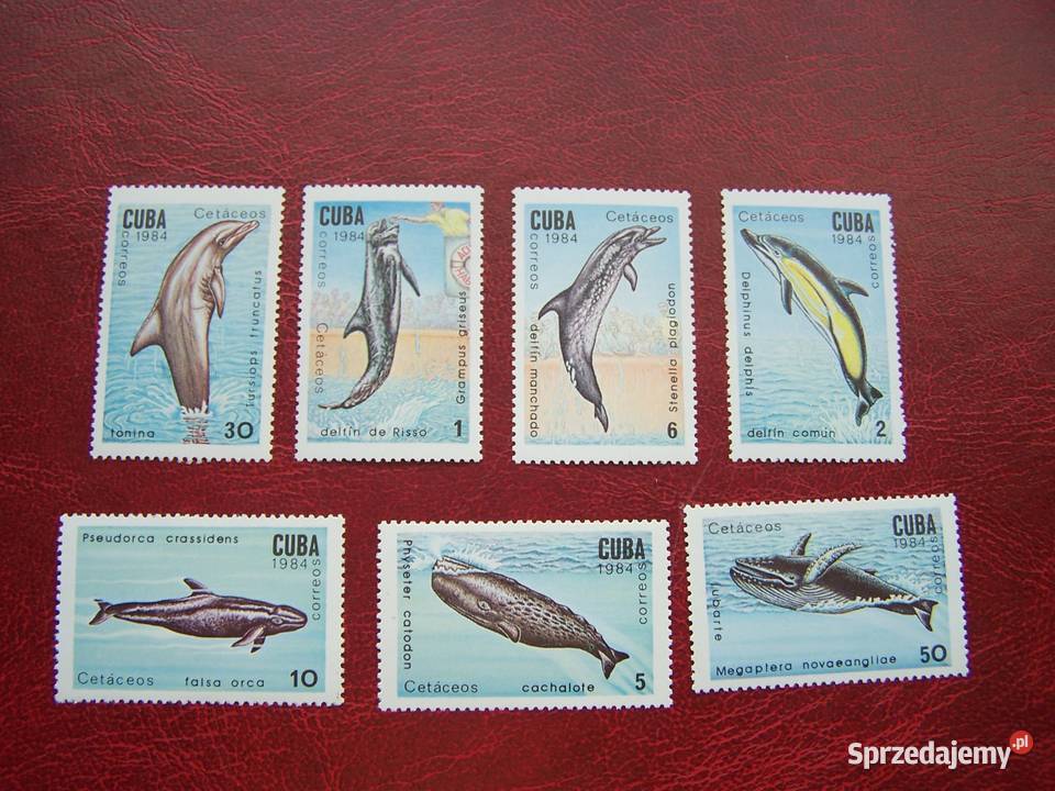 Kuba 1984 MNH Mi 2828 34 Fauna Delfiny Wieloryby Tychy