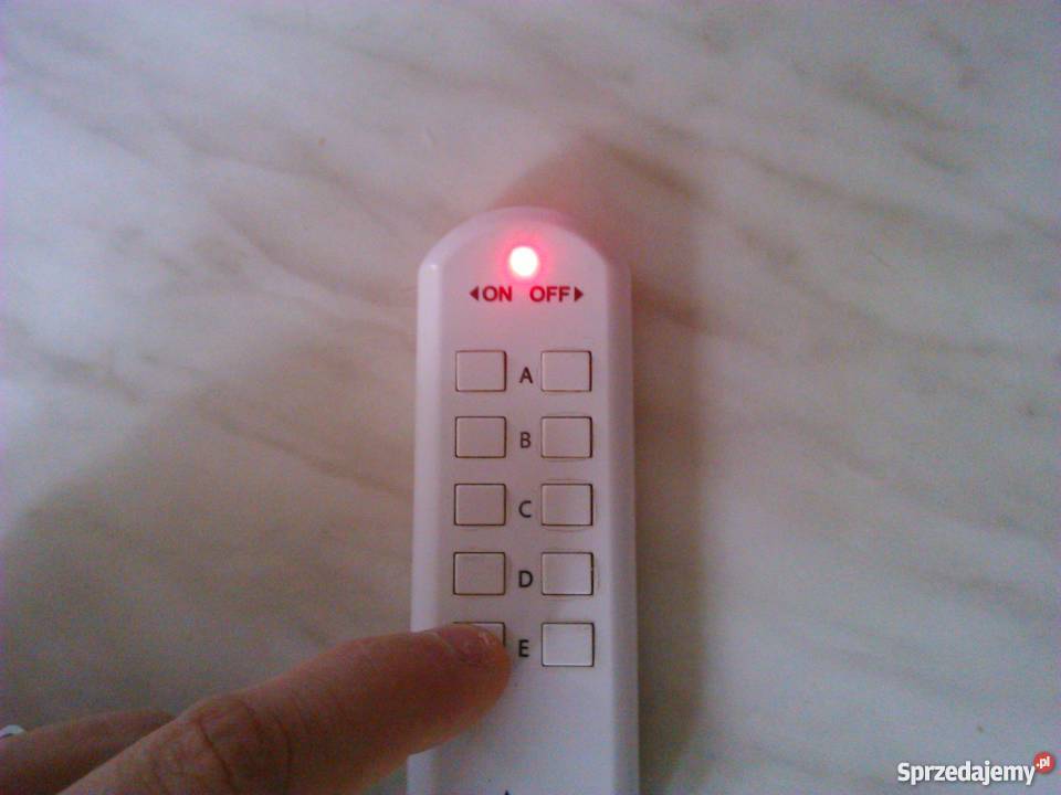 Ptasznik AGeniculata samica 100zl terrarium pro Tychy sprzedam