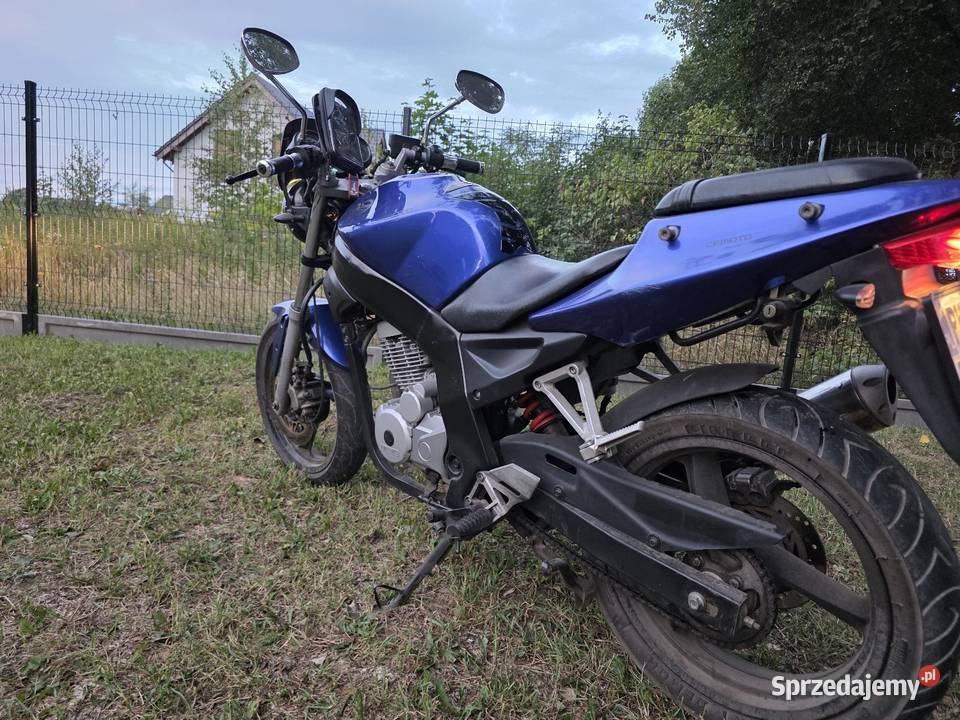 Daelim roadwin 125 Psary Polskie