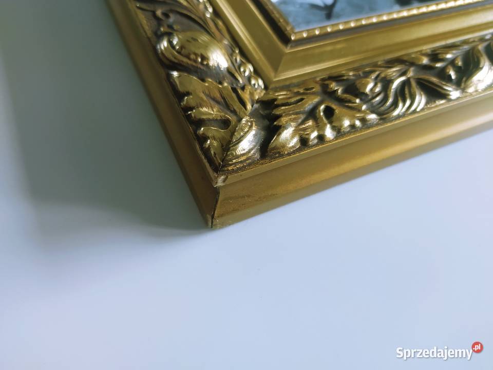 obraz w ozdobnej drewnianej ramie Antyki, Sztuka, Kolekcje Warszawa