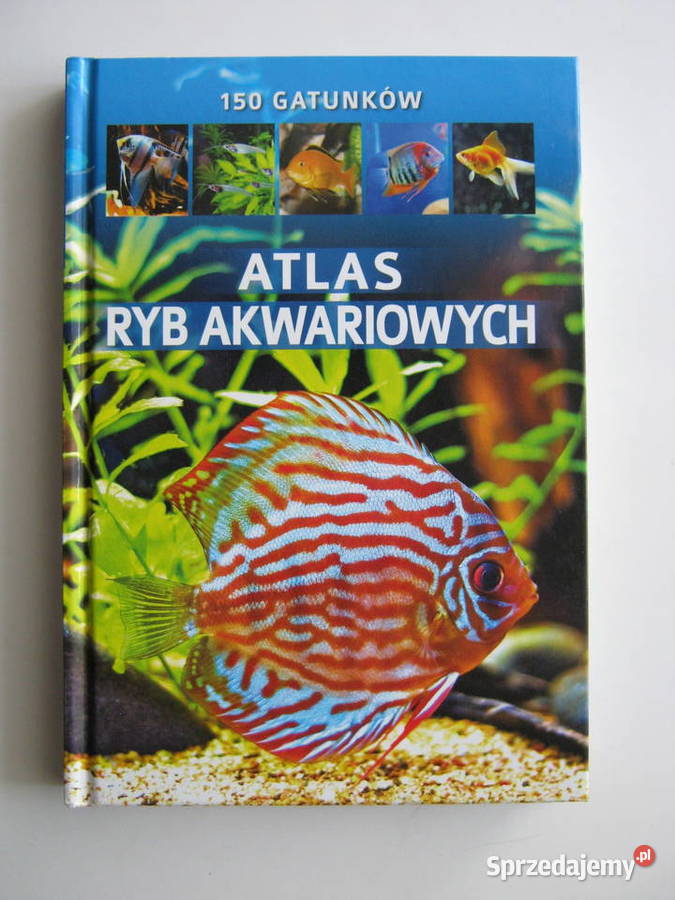 Atlas ryb akwariowych lubelskie Lublin