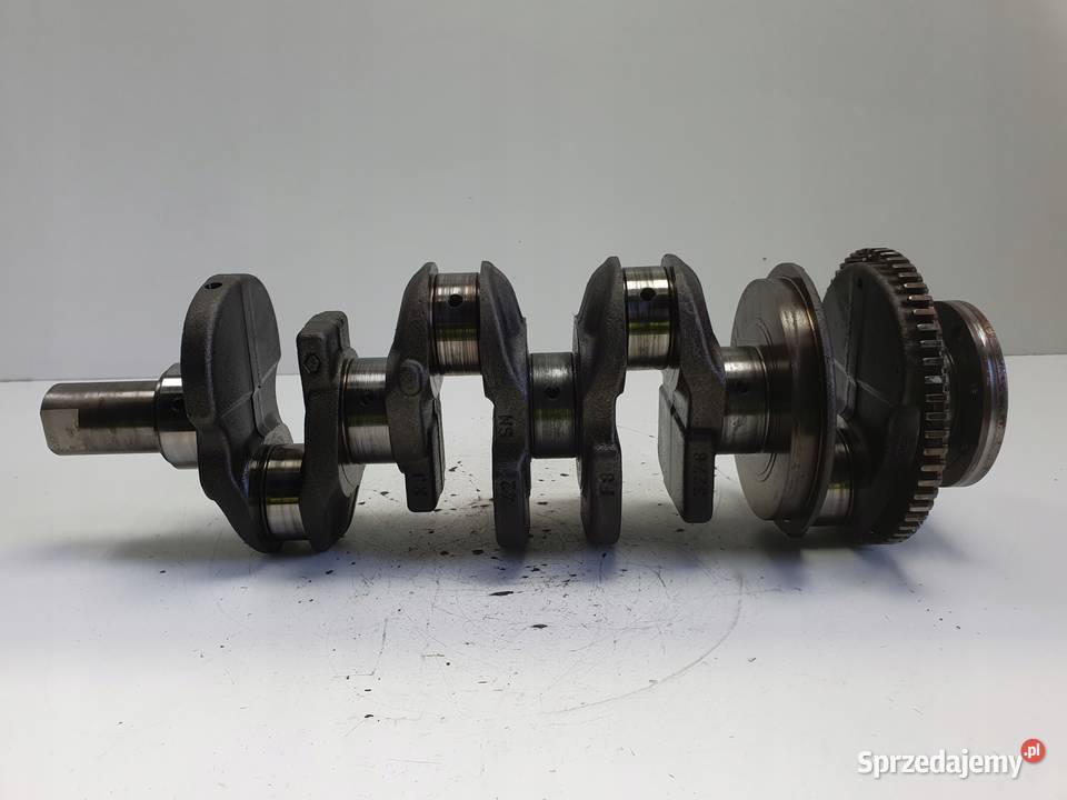 Renault Trafic II 20 DCI WAŁ KORBOWY 8200385152 Blok silnika Rudka