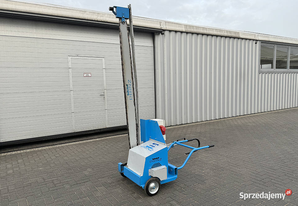 Piła łańcuchowa do kapowania pakietów i drewna Sierakowska Huta