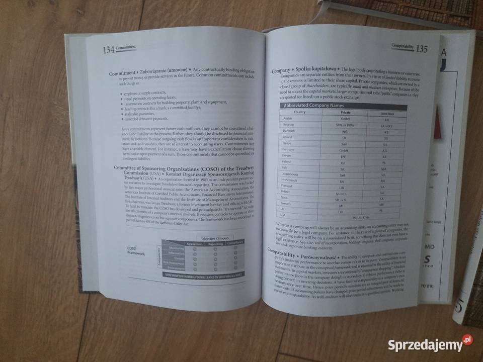 R Patterson Kompendium terminów z zakresu twarda Serock