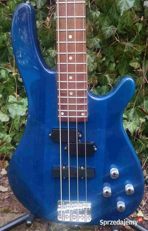 Gitara basowa Vision łódzkie Tuszyn